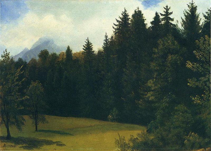 Albert Bierstadt Greater San Francisco Area (Mountain Glade and Mountain Resort) China oil painting art